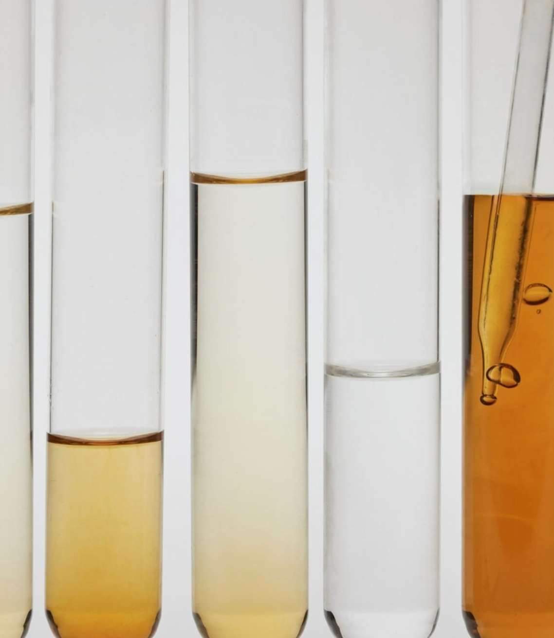 Fuelling the Mind: The Best Natural Supplements for Energy, Sleep & Cognitive Health