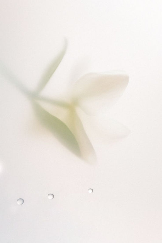 The Science of Adherence