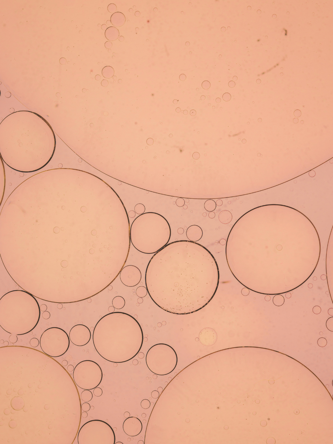 The Power of Cellular Repair