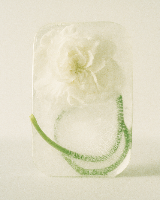 The Science of Staying Younger and NAD+