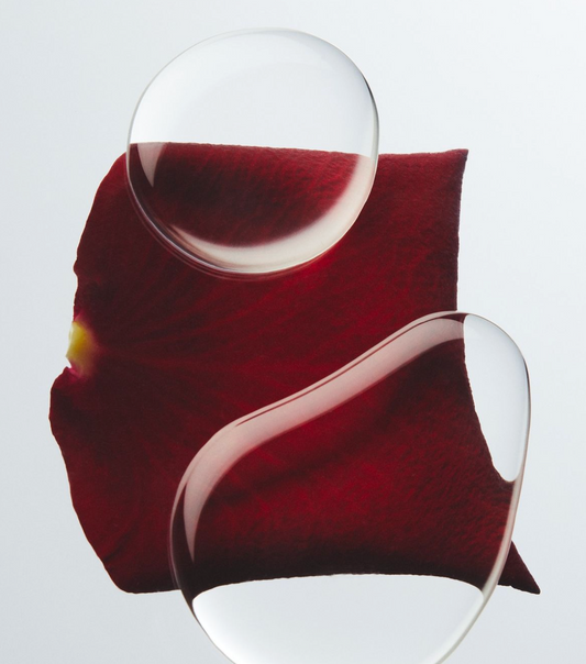 NAD+, NR, and the Longevity Conversation