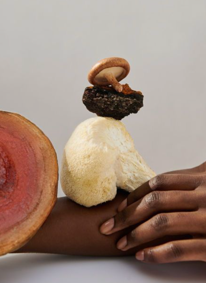 The Magic Mushroom That Is Lion's Mane