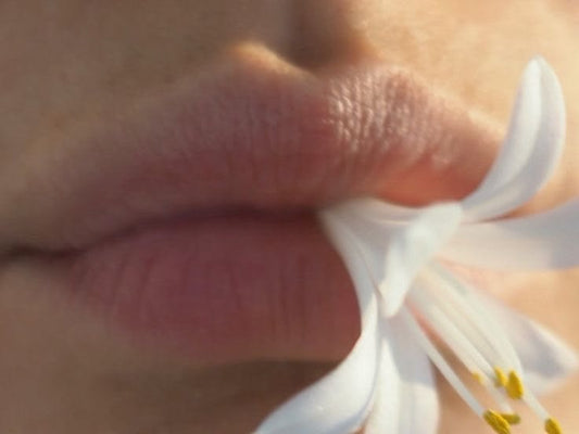What Cellular Recovery Actually Means And Why Most People Are Getting It Wrong