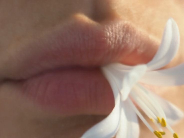 What Cellular Recovery Actually Means And Why Most People Are Getting It Wrong
