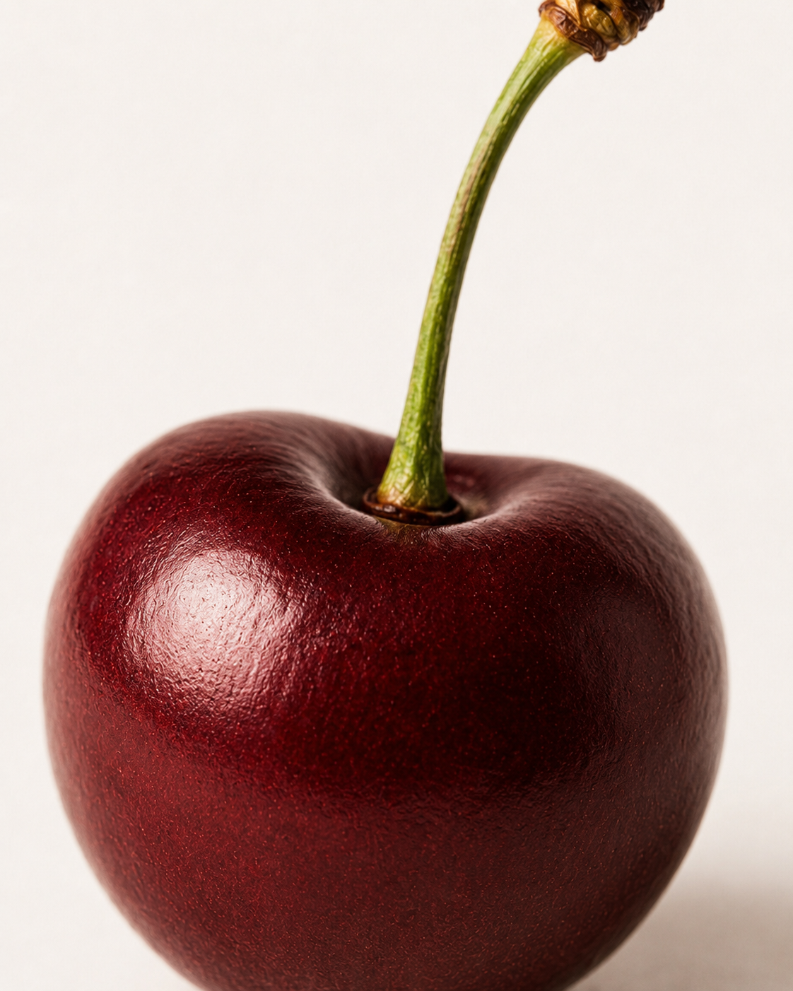 Sour Cherry